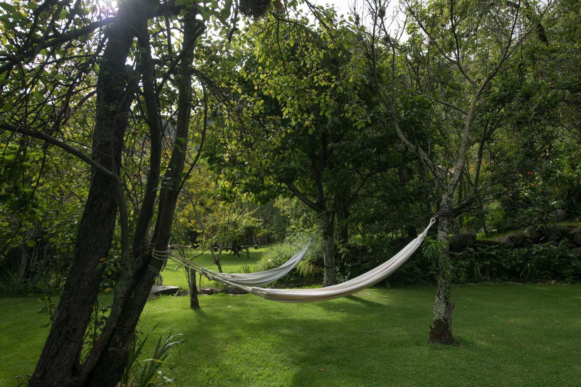 Andenia Boutique Hotel, Sacred Valley Urubamba Exterior photo