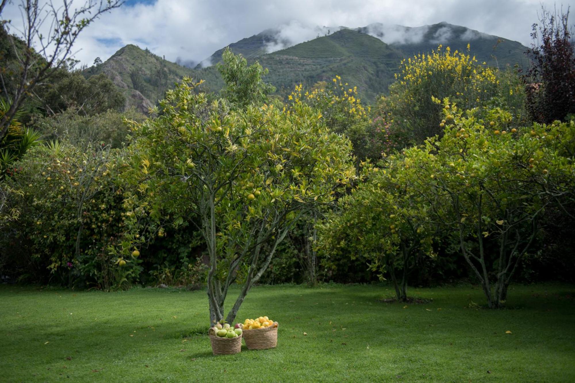 Andenia Boutique Hotel, Sacred Valley Urubamba Exterior photo