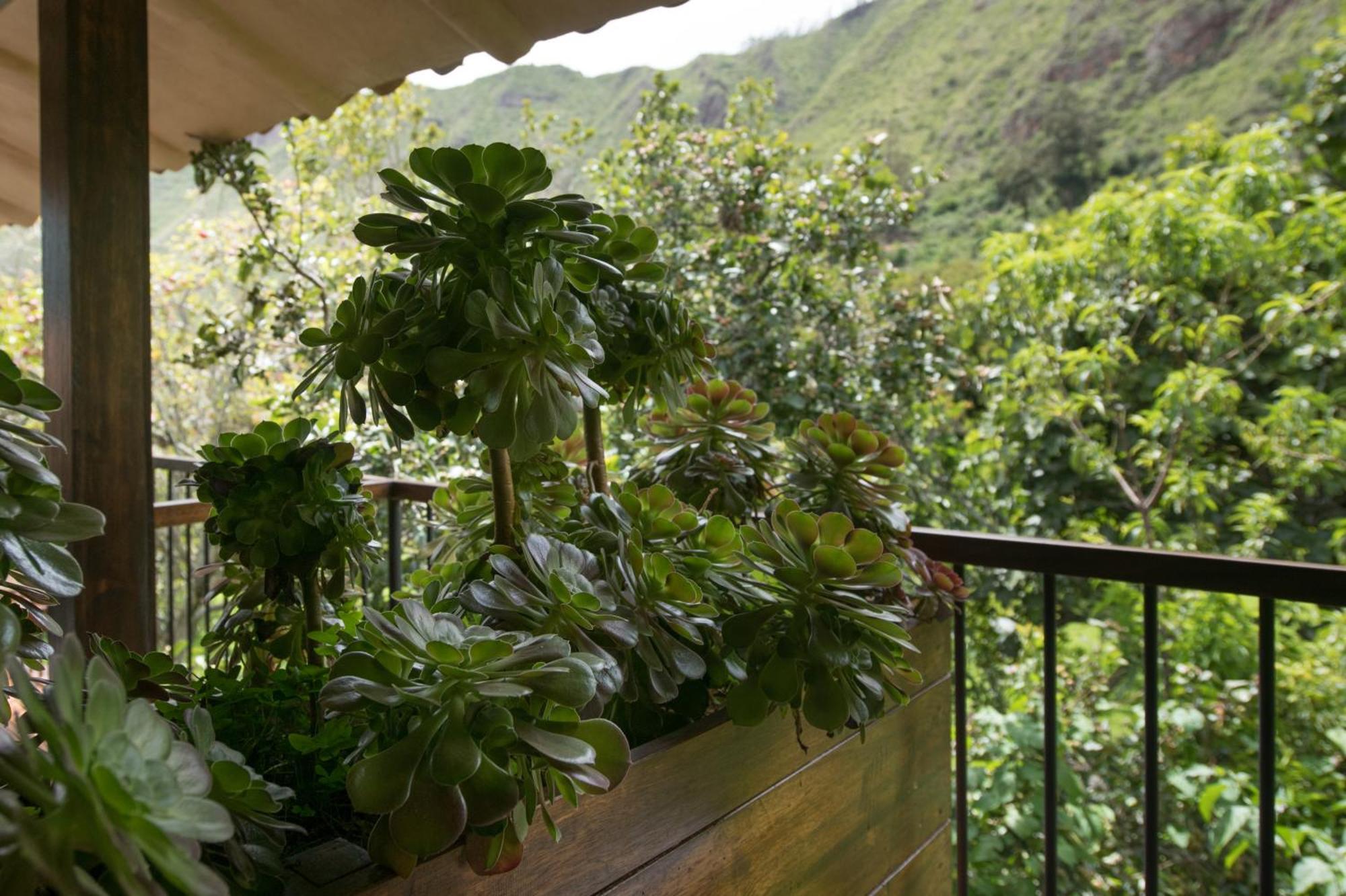 Andenia Boutique Hotel, Sacred Valley Urubamba Exterior photo